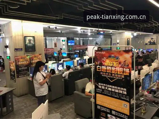 天行体育一键下载 天行体育平台一键下载深度评测:竞技巅峰F7Z2实战体验报告